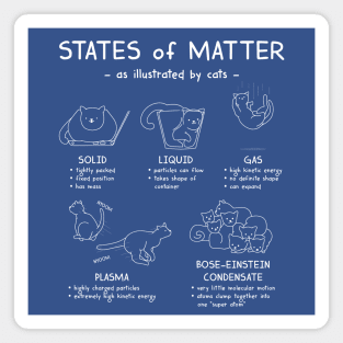 States of Matter, illustrated with cats Magnet